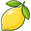 Lemon Nutrition Academy